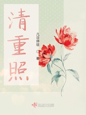 清重照