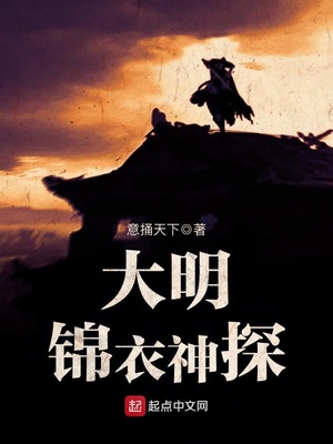 美国十四拉唐人街