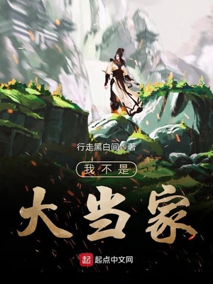 我不是大当家