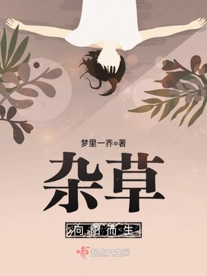 八一影院app下载安装安卓手机版