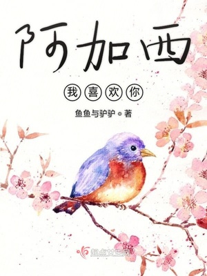 宁夏同心县沙沟事件
